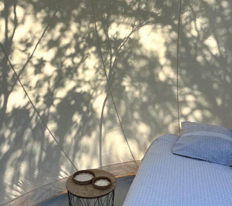 Photo of Others in Galeria