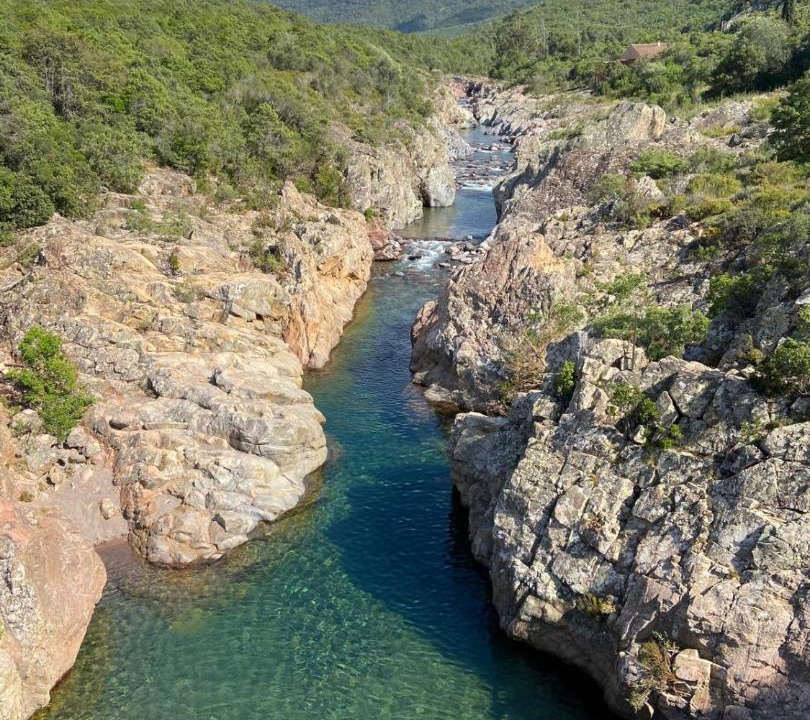 Photo of Others in Galeria