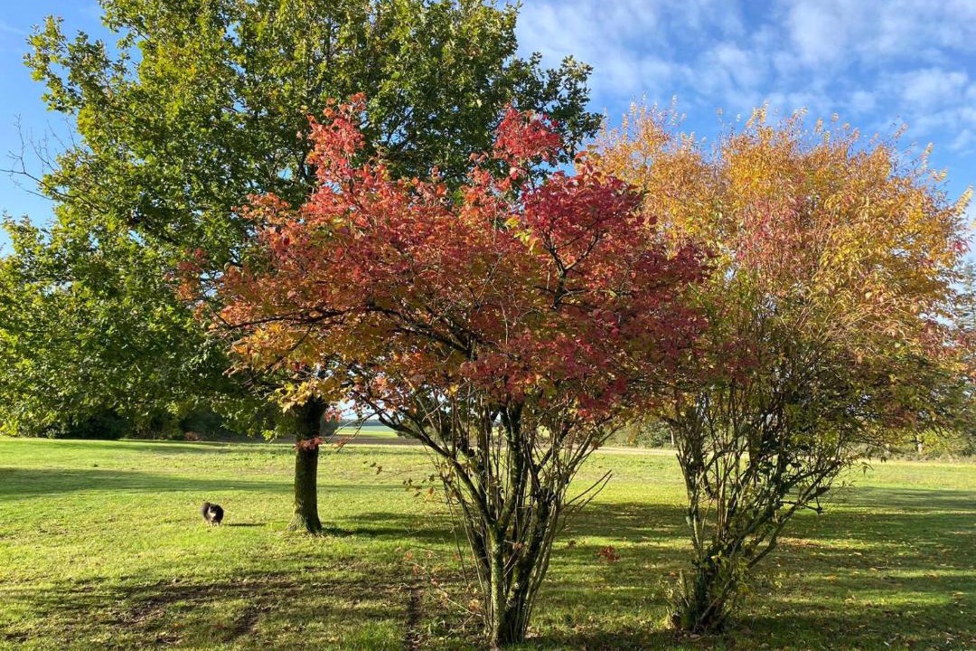 Photo of Outdoor in Villers-les-Ormes