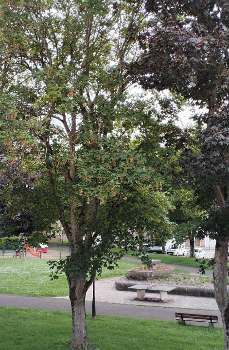 Photo of Others in Alencon