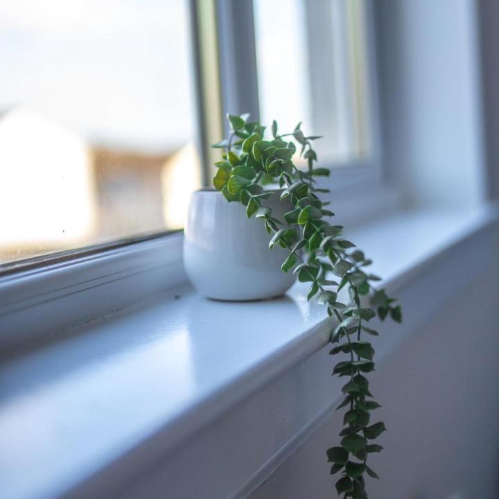 Photo of Others in Livingston