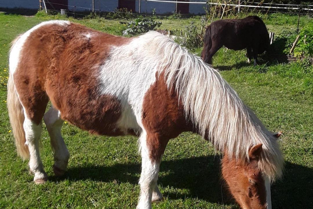 Photo of Others in La Garnache