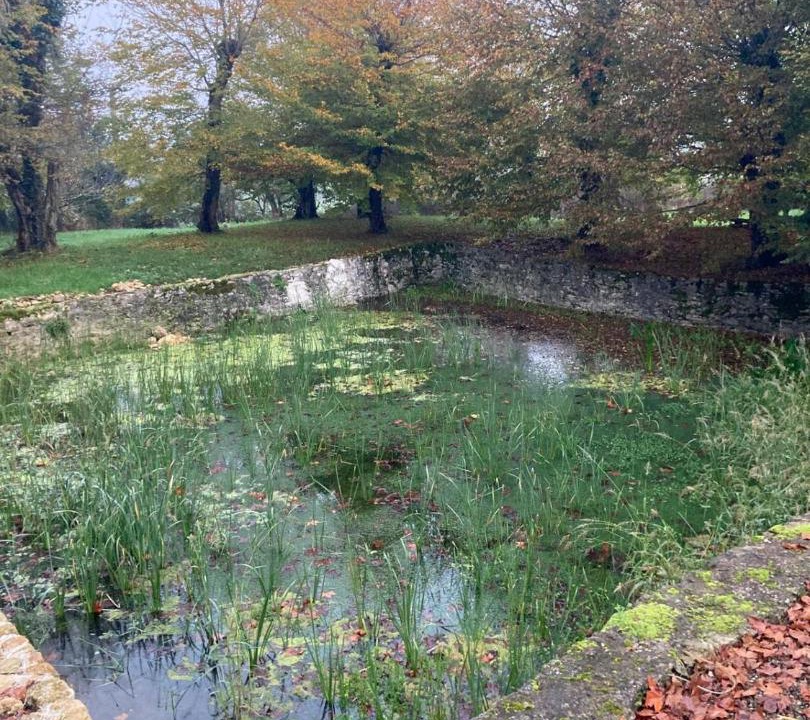 Photo of Others in Gans