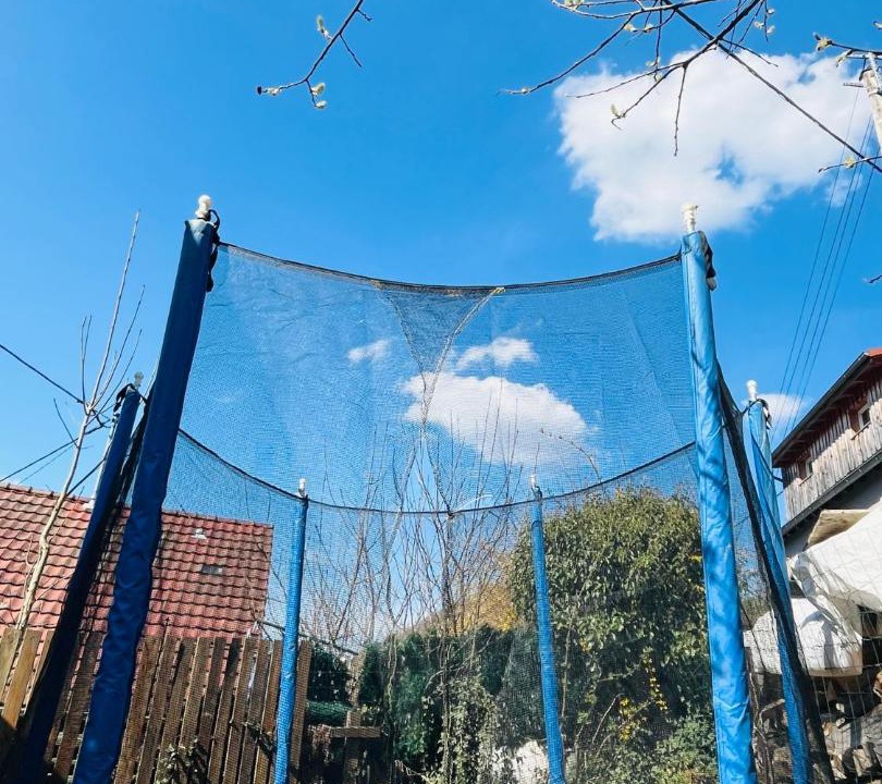 Photo of Outdoor in Oderen
