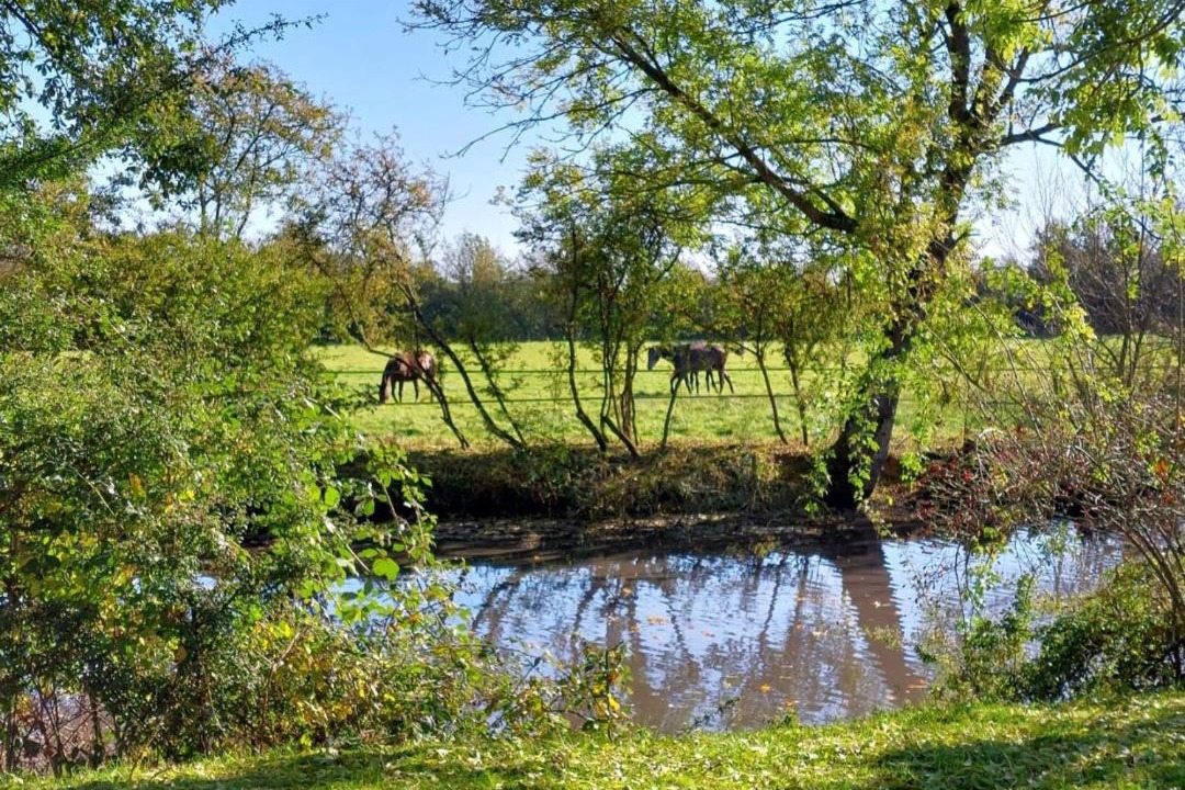 Photo of Others in La Ferte-en-Ouche