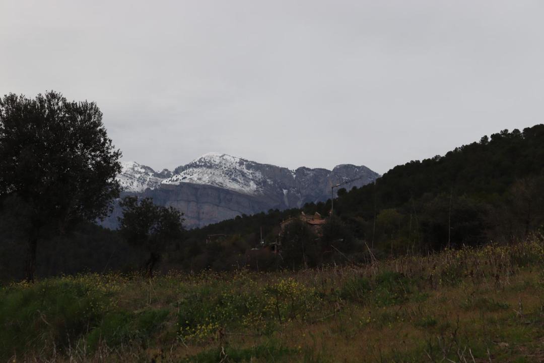 Photo of Others in Ainsa-Sobrarbe