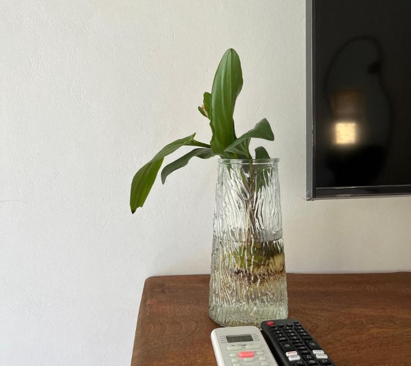 Photo of Livingroom in Central Lombok