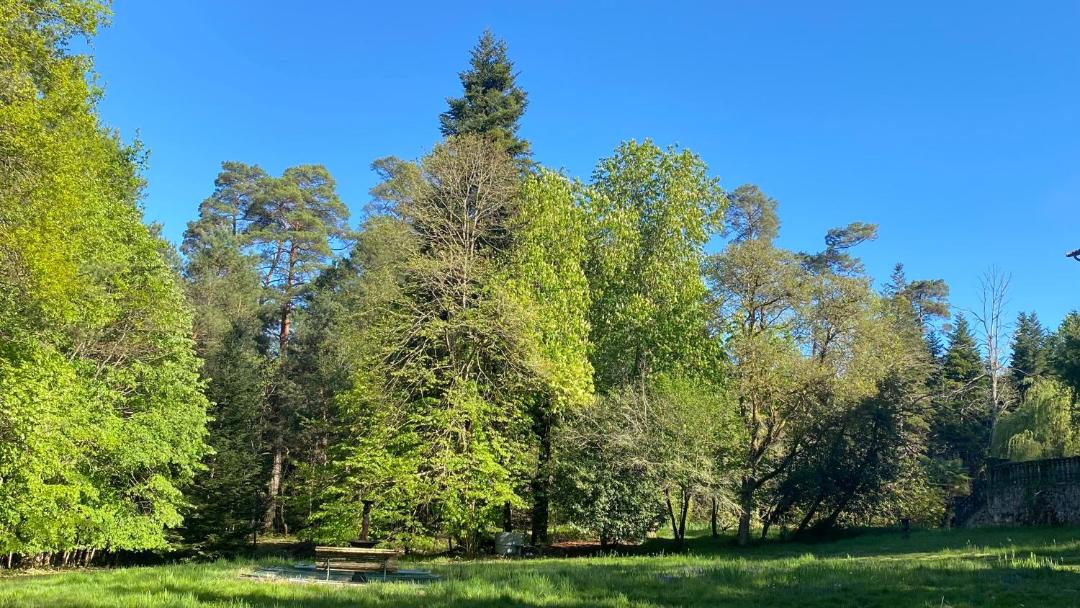 Photo of Others in Sainte-Croix-de-Volvestre