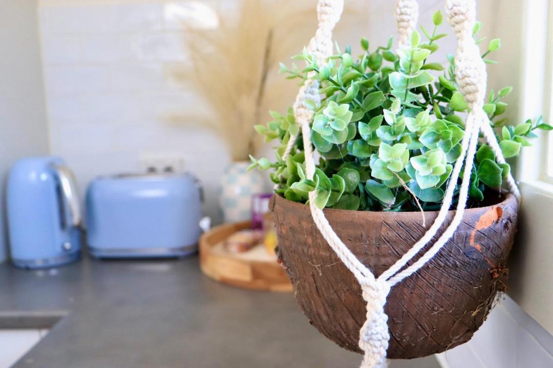 Photo of Others in Batehaven