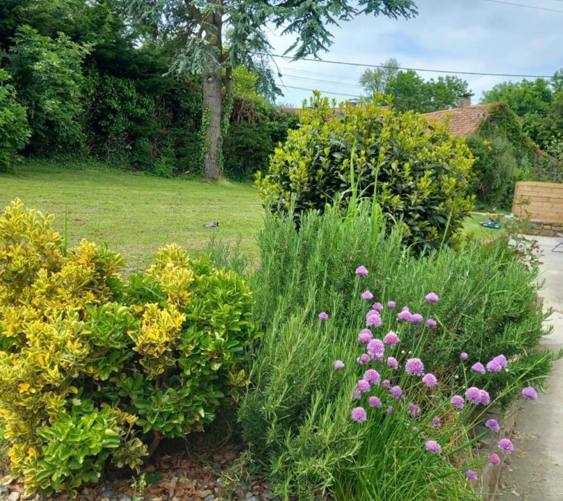 Photo of Others in Wimille