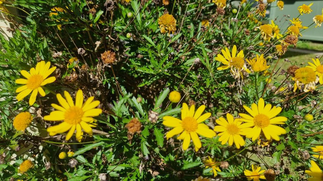 Photo of Outdoor in Dural