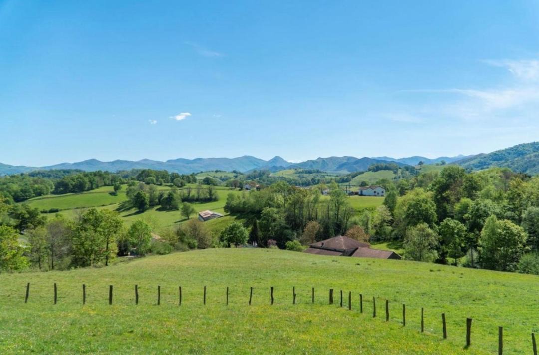 Photo of Others in Lasse