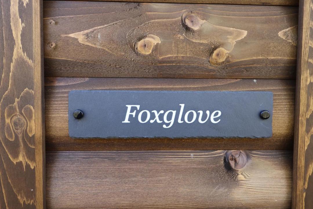 Photo of Others in Chard