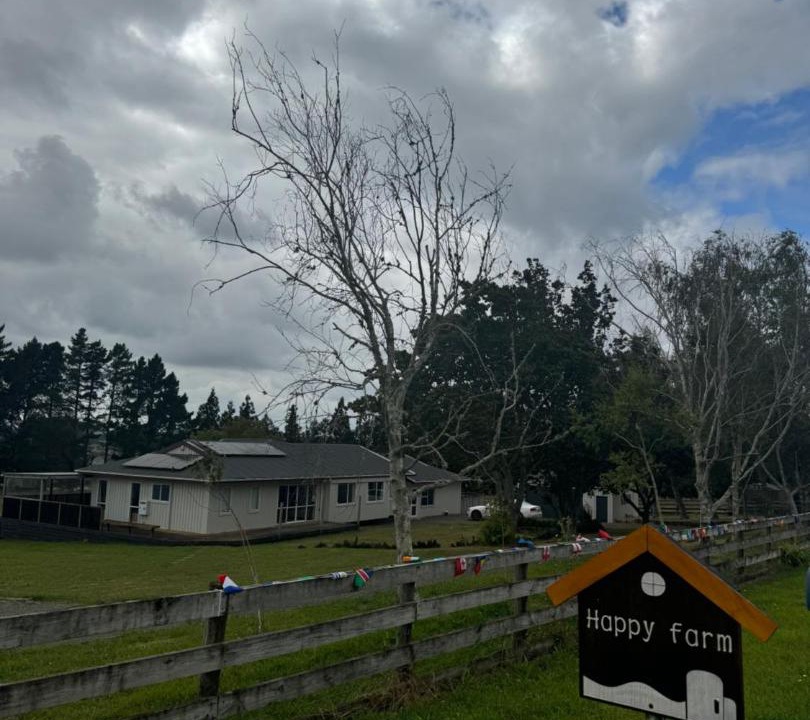 Photo of Others in Pokeno