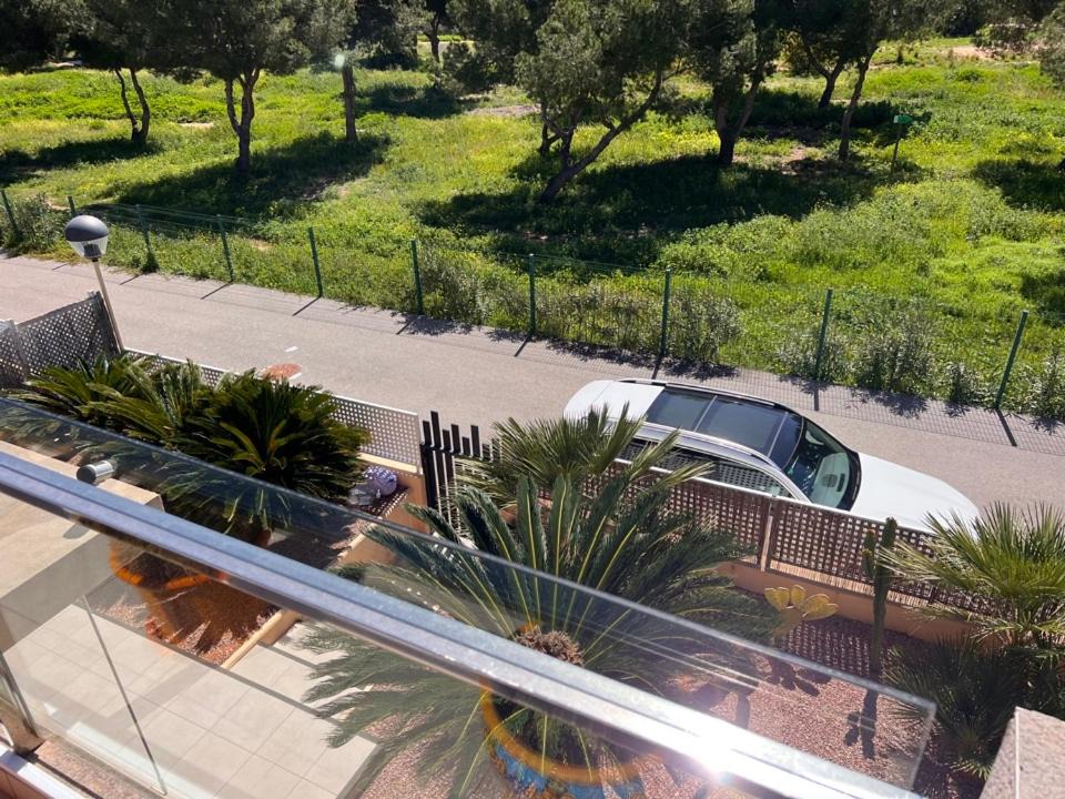Photo of Others in La Zenia