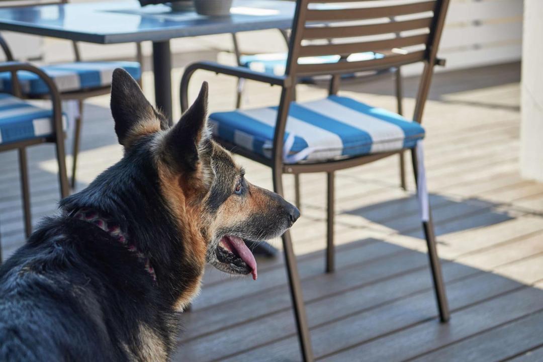 Photo of Others in Berkeley