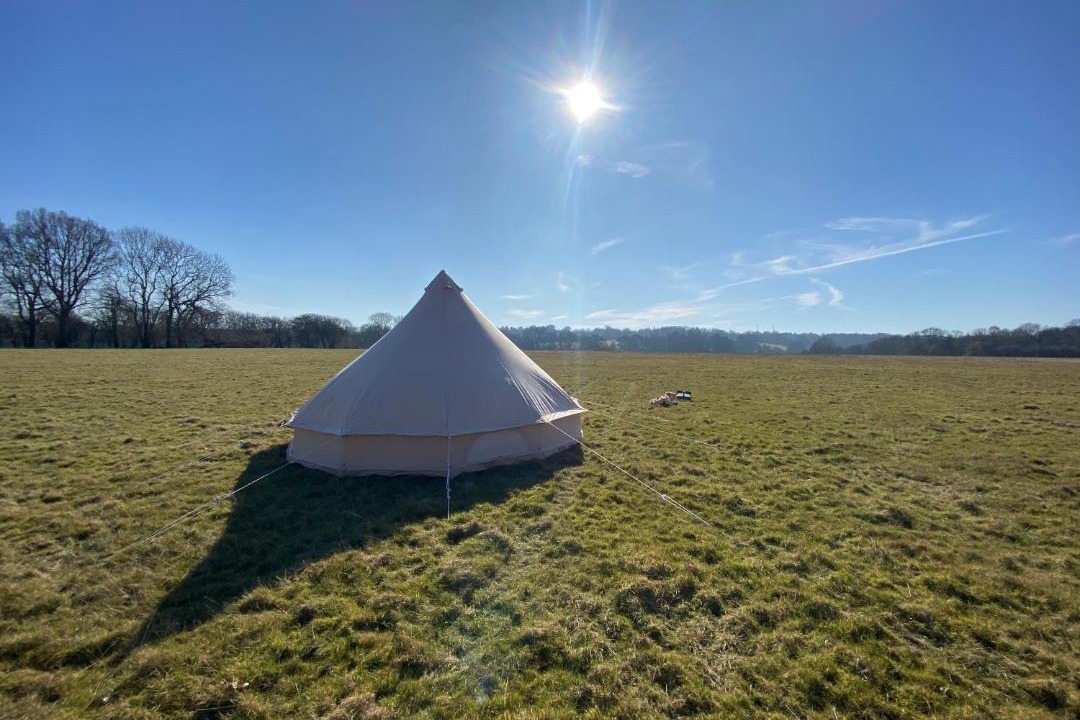 Photo of Others in Orpington