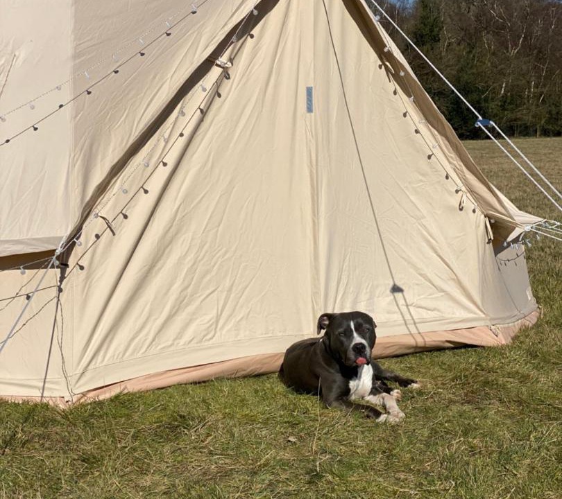 Photo of Outdoor in Orpington