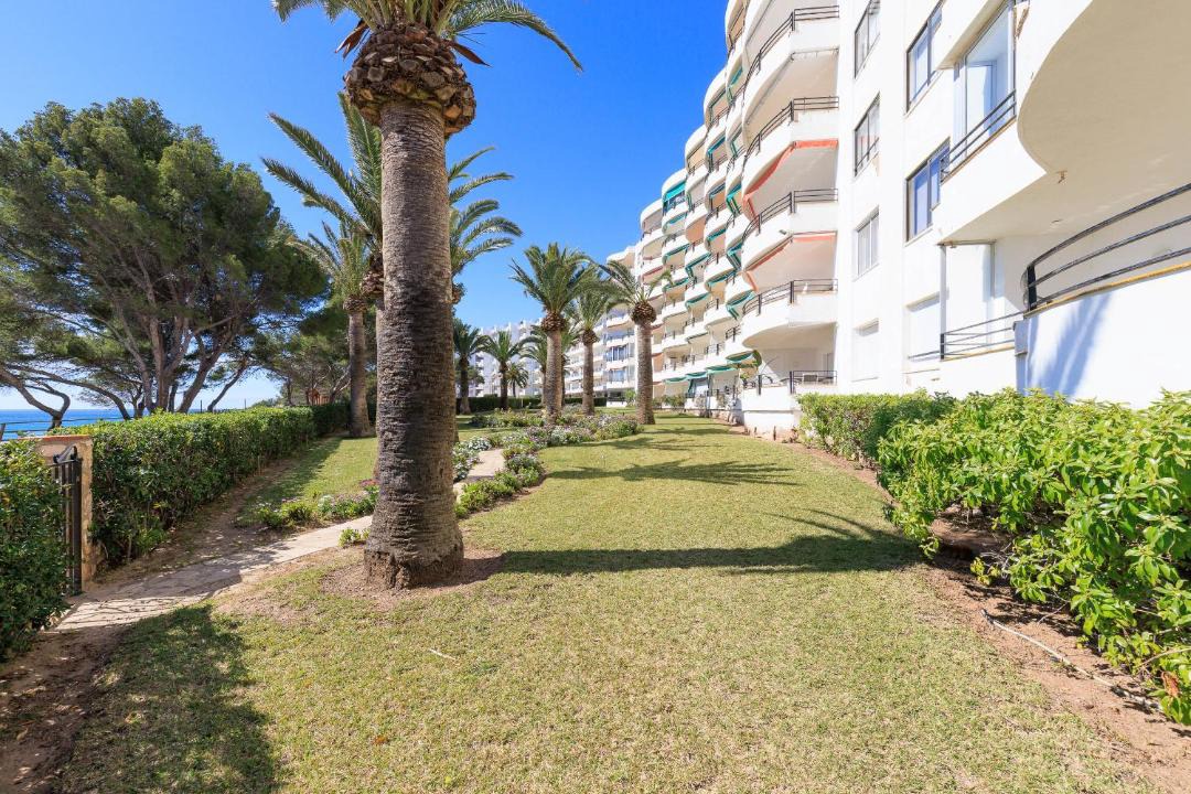 Photo of Others in Miami Platja