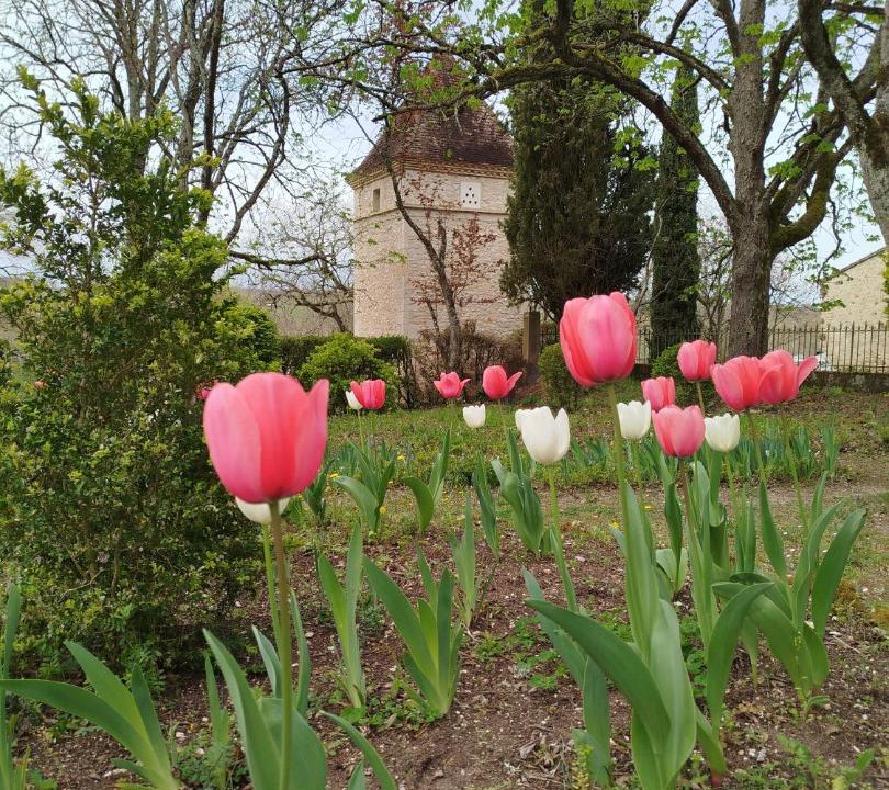 Photo of Others in Cahuzac-sur-Vere