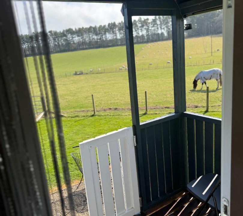 Photo of Patio Balcony in Roslin