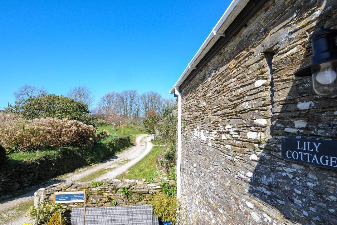 Photo of Others in Pelynt