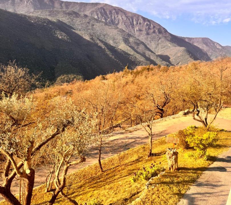 Photo of Others in Sigale