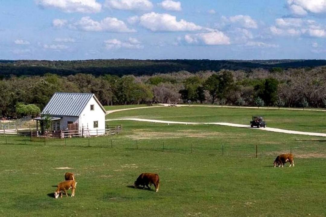 Photo of Others in Grapetown