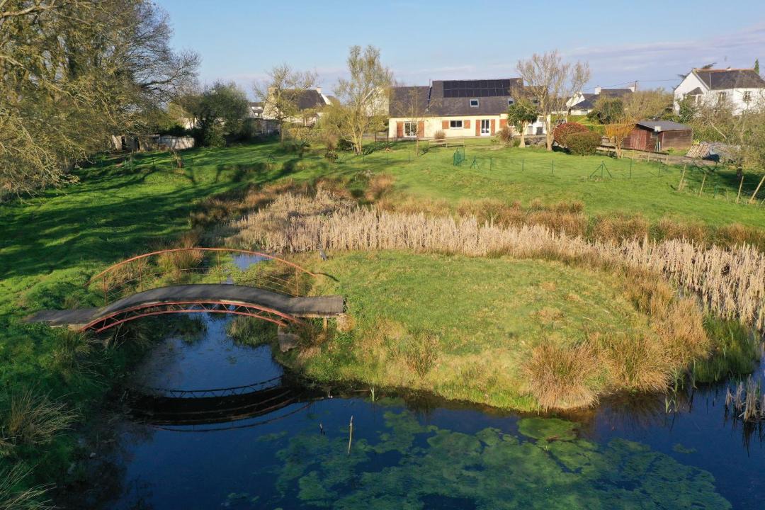 Photo of Others in Pleyber-Christ