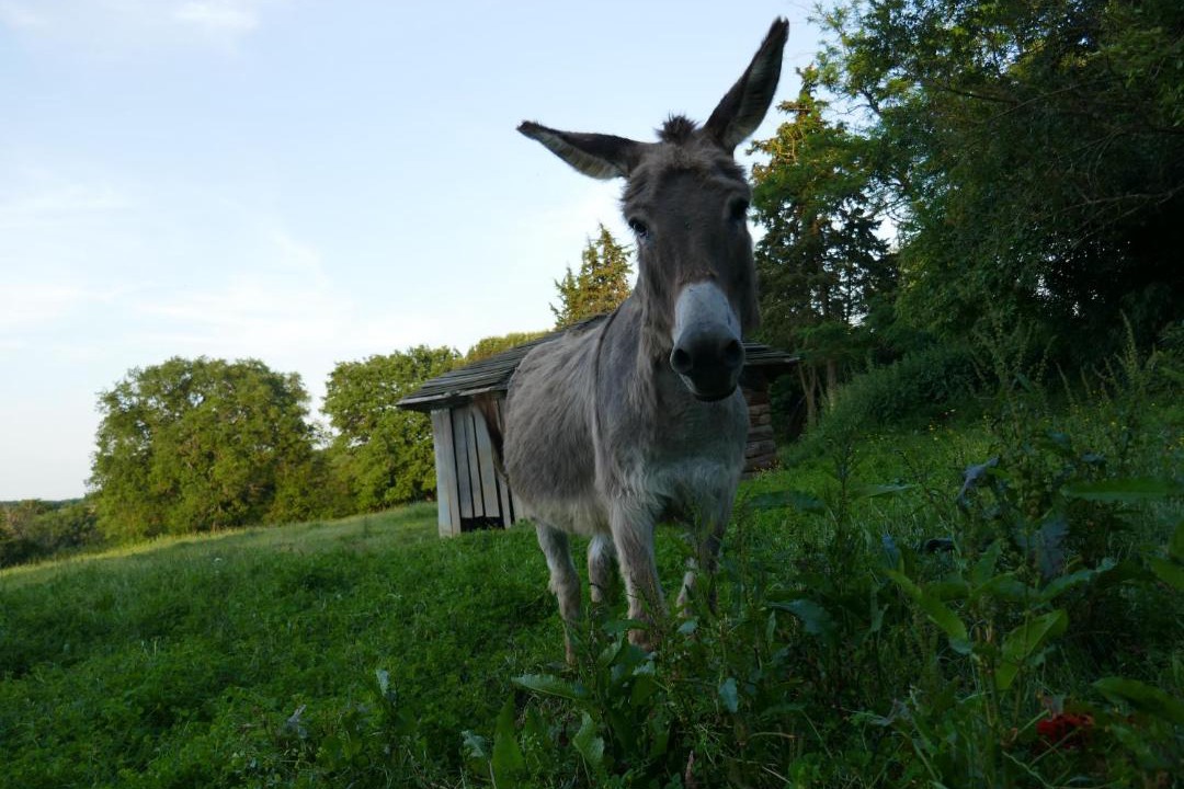 Photo of Others in Serignac