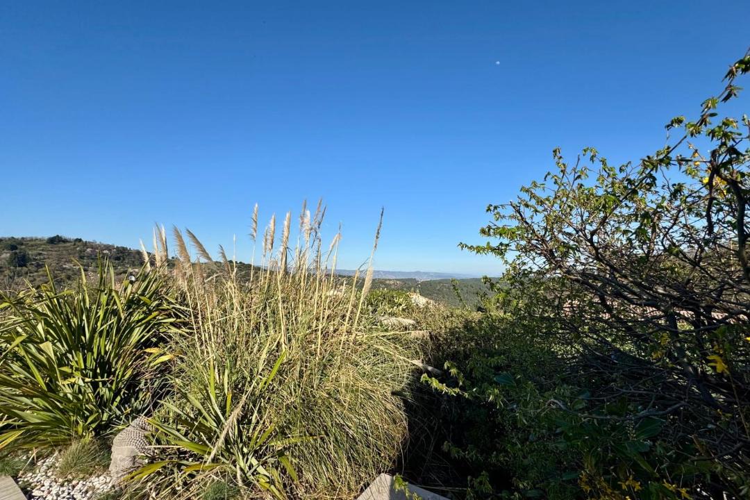 Photo of Others in Chazeaux