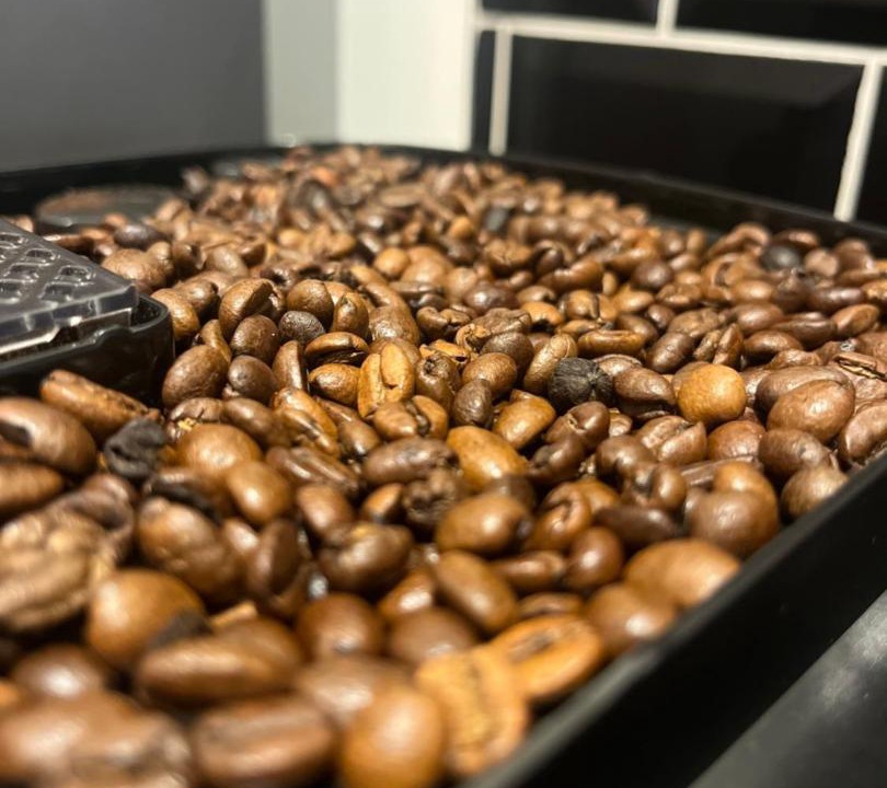 Photo of Others in Sainte-Marie-dʼAlloix