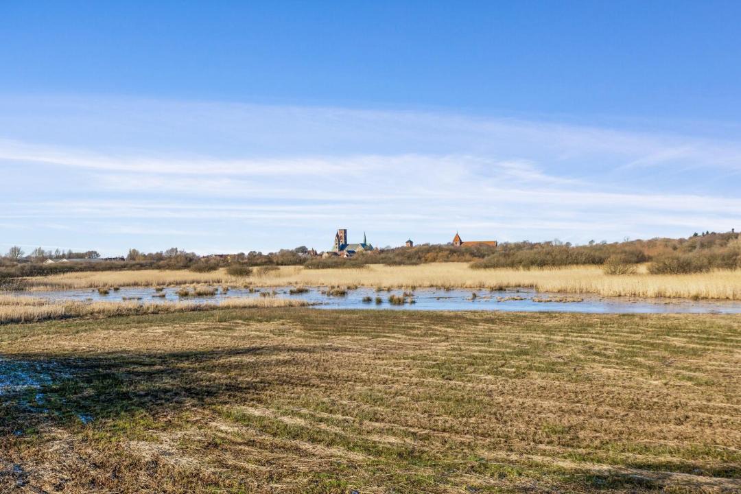 Photo of Others in Ribe