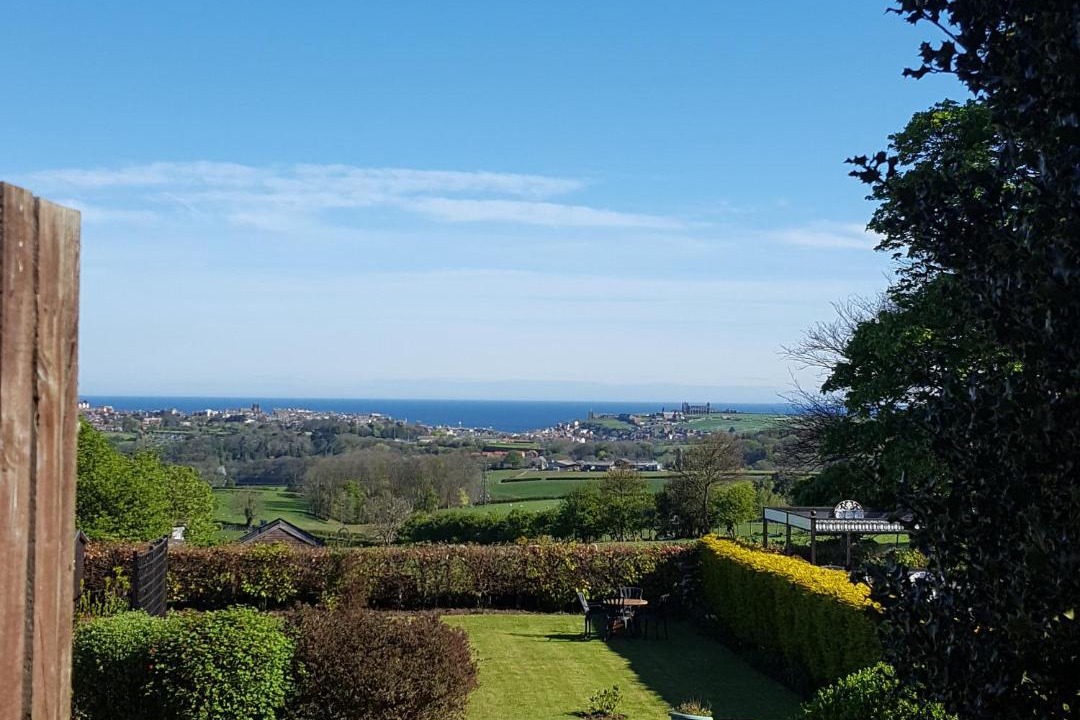 Photo of Others in Briggswath