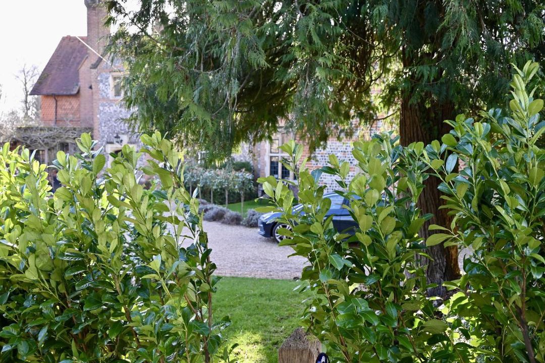 Photo of Others in Marlow