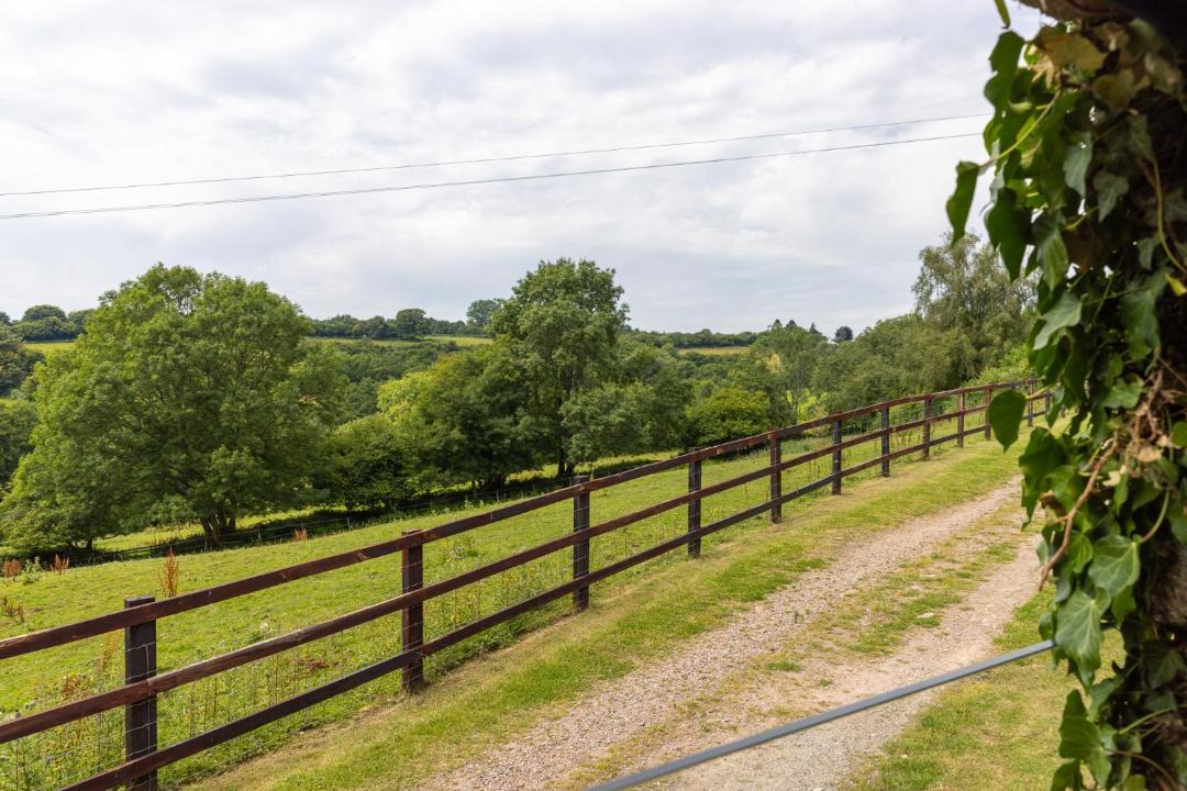 Photo of Others in Chepstow