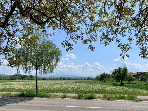Photo of Others in Uster District