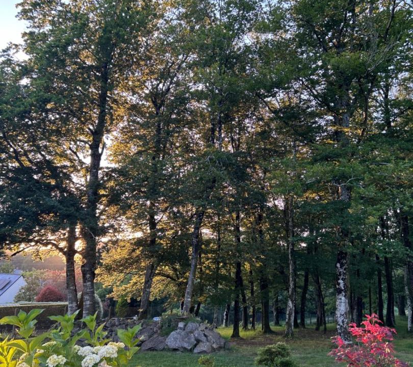 Photo of Others in Treauray