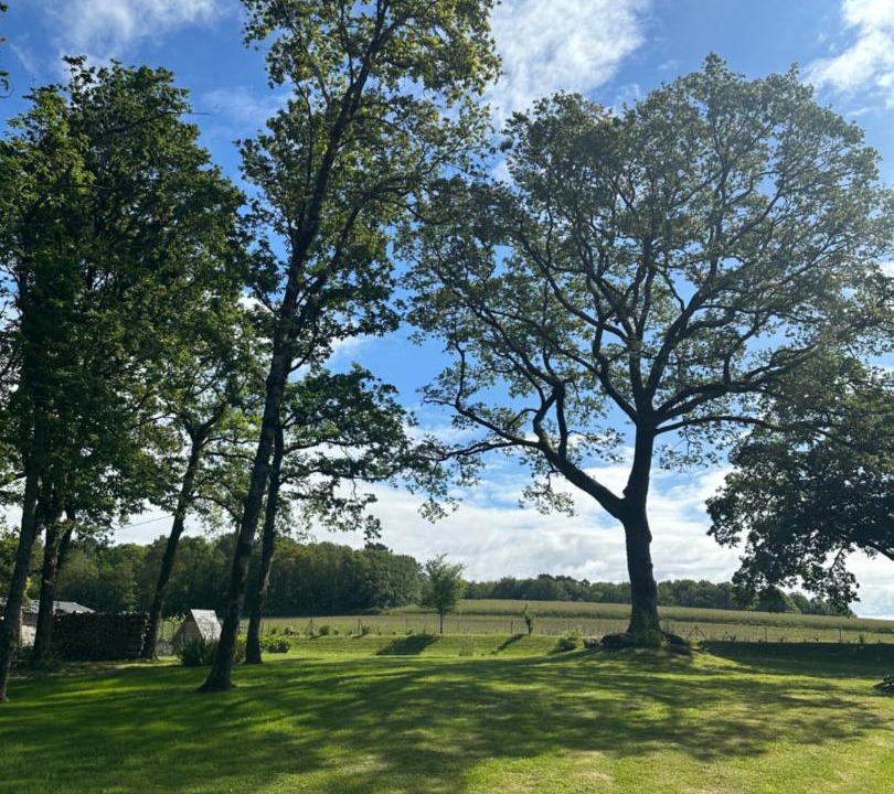 Photo of Others in Treauray