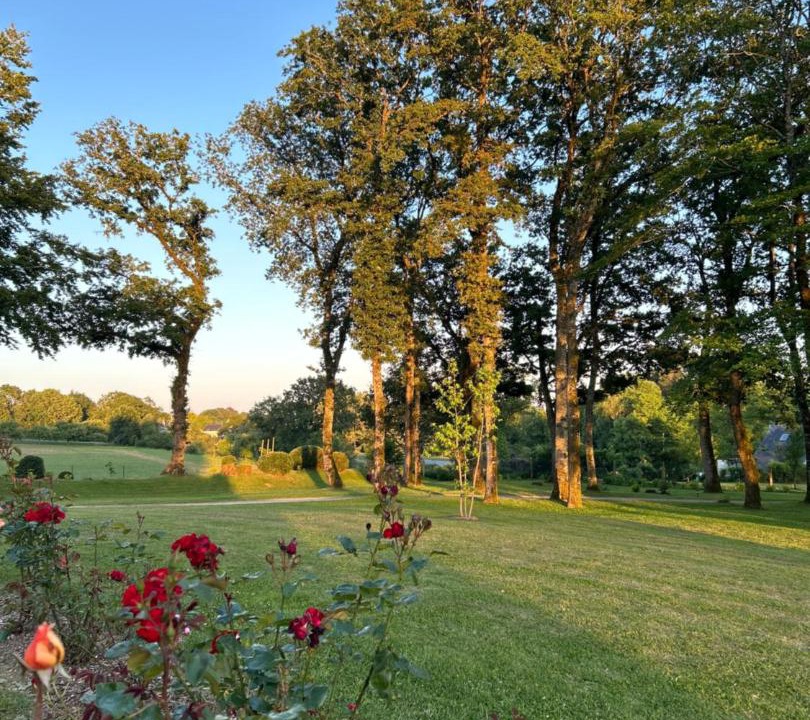 Photo of Others in Treauray