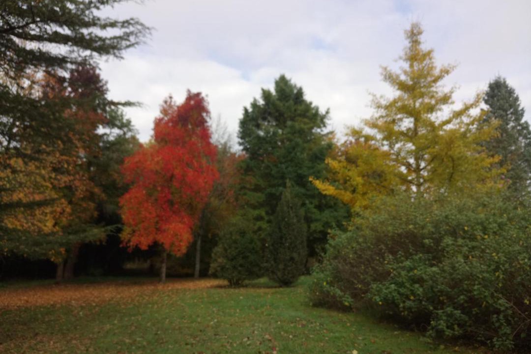 Photo of Others in Ligueil