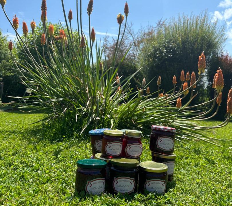 Photo of Outdoor in Louhans