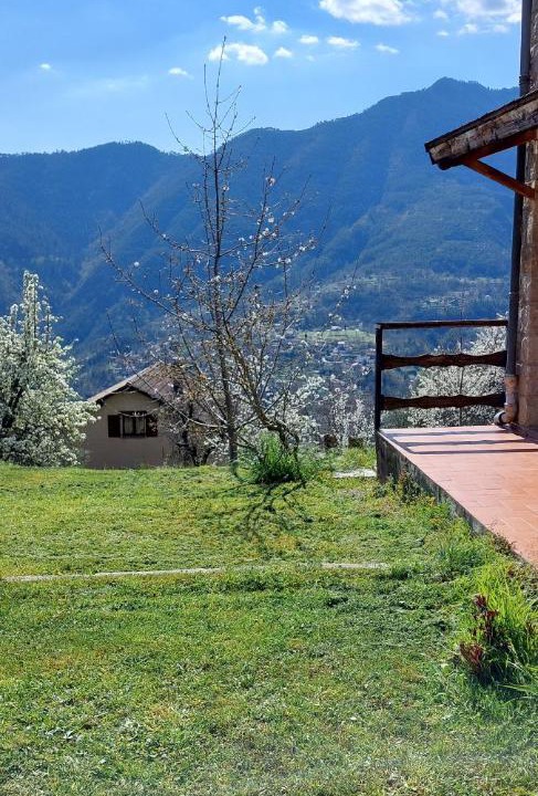 Photo of Others in Belvedere