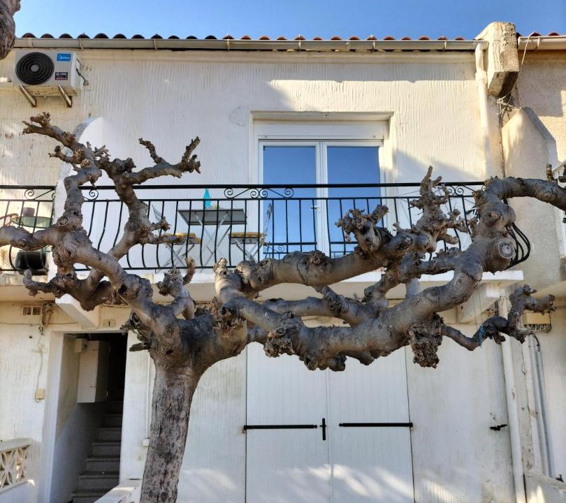 Photo of Others in Fleury