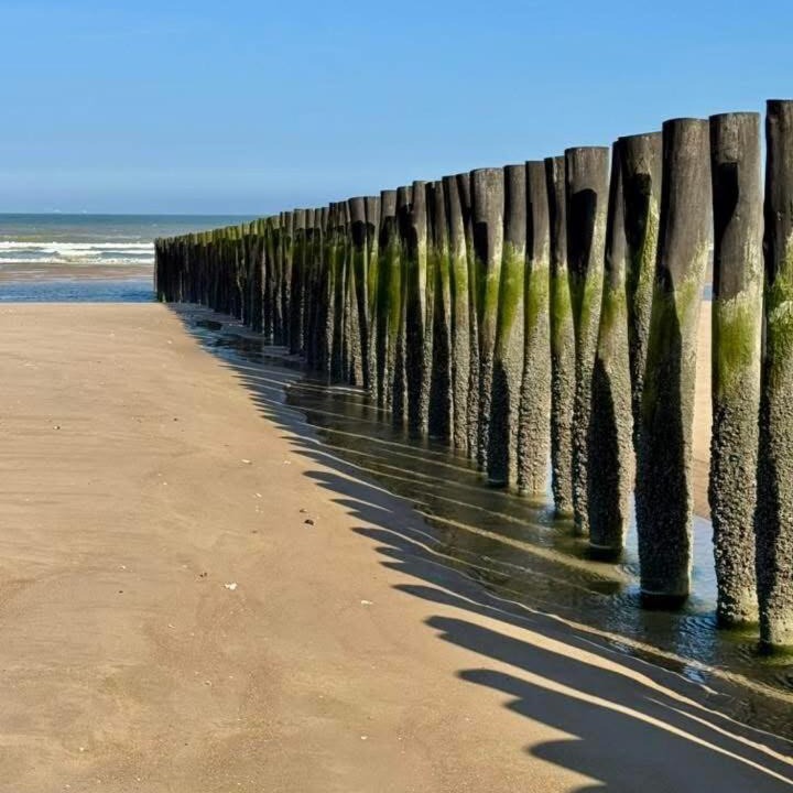 Photo of Others in Bleriot-Plage