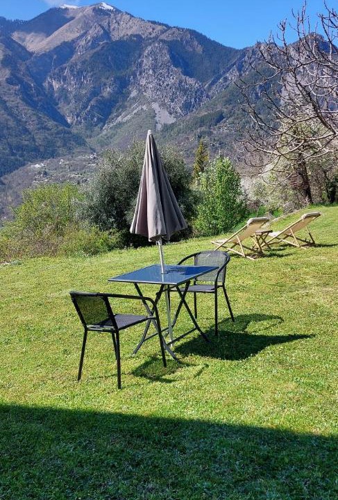 Photo of Others in Belvedere