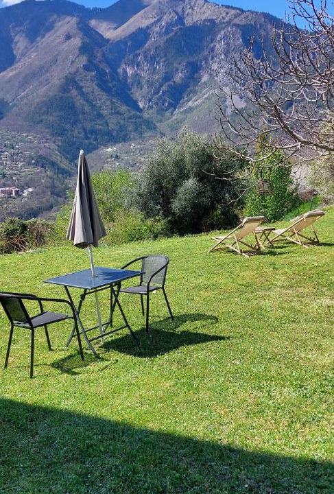 Photo of Others in Belvedere