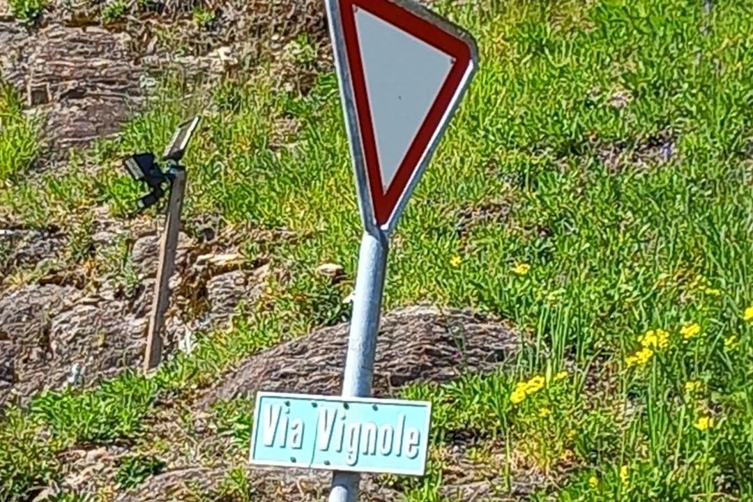 Photo of Others in Orselina