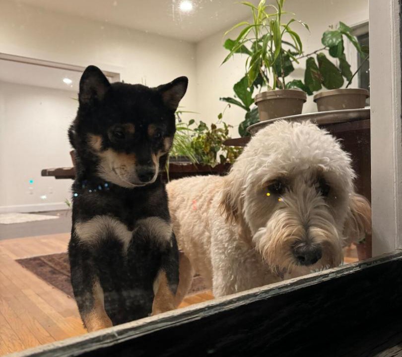 Photo of Others in Millerton