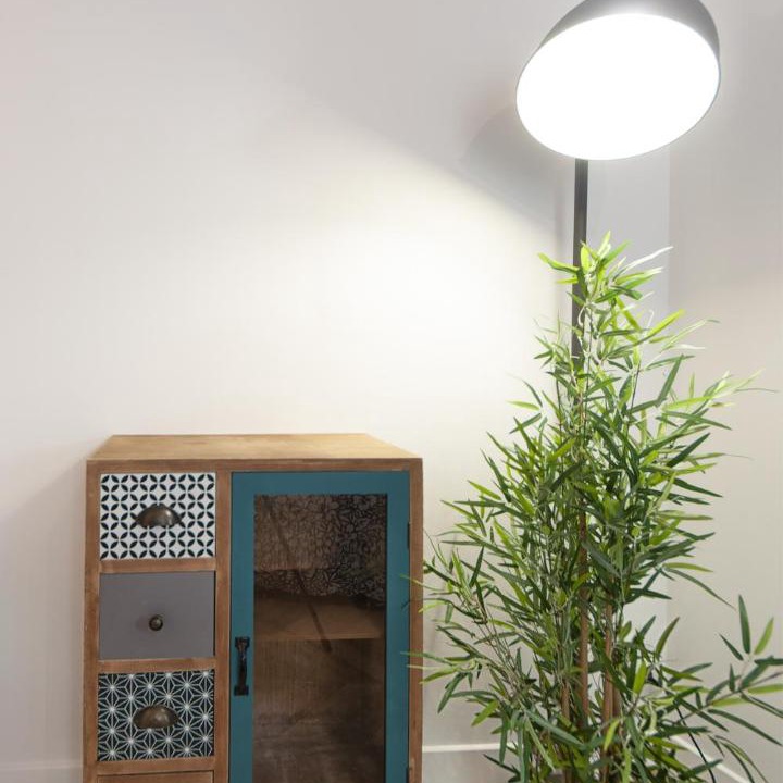 Photo of Livingroom in Ancenis